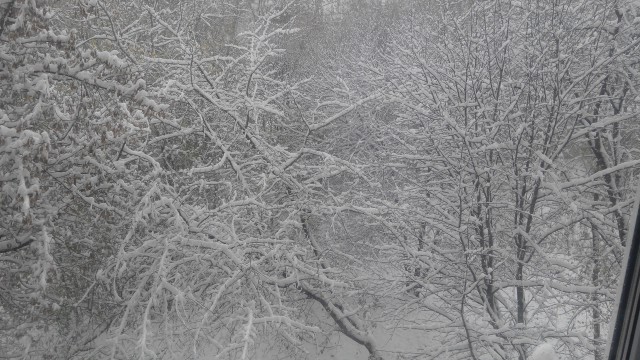 Снег В Перми