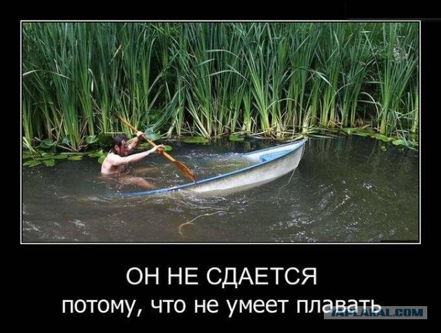 Больше,чем фото - 2