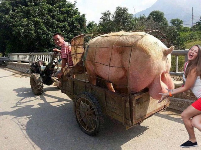 Фотожаба: чего-то хочется....