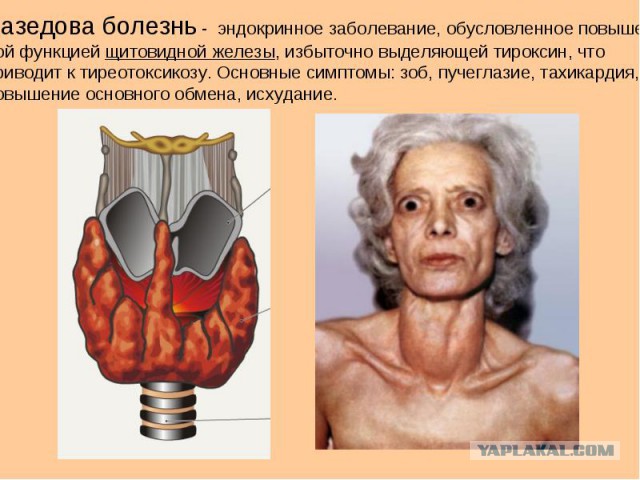 Прокурор Эстонской Республики Kati Reitsak