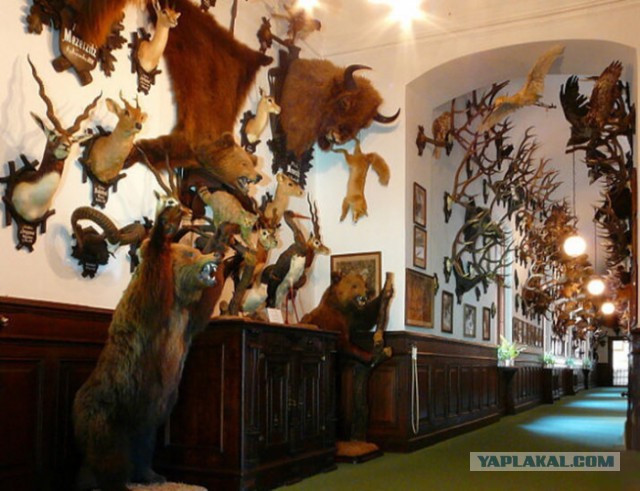 Кровавому Воскресенью 111 лет