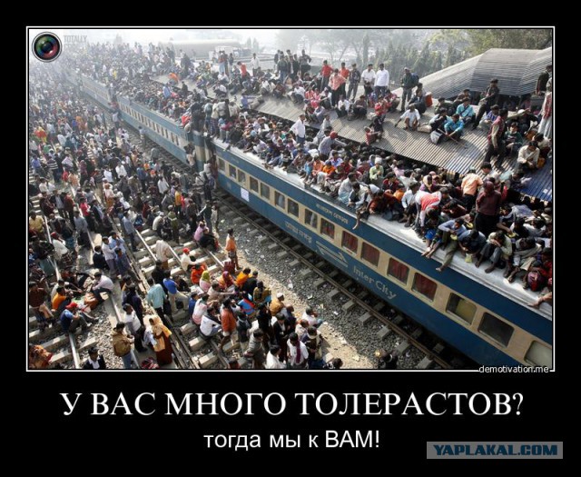 Немного фоток о "бедных" беженцах с исламского мира
