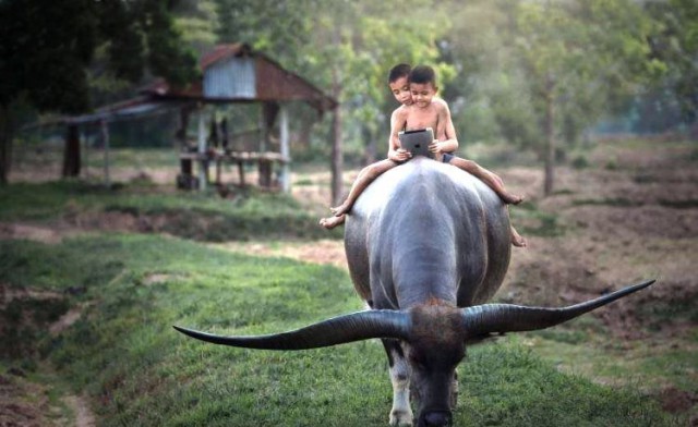Подборка картинок из сети