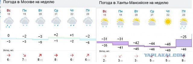В Москве кризис! Люди стоят неделю на морозе, чтобы купить кроссовки за 17 000 р.!