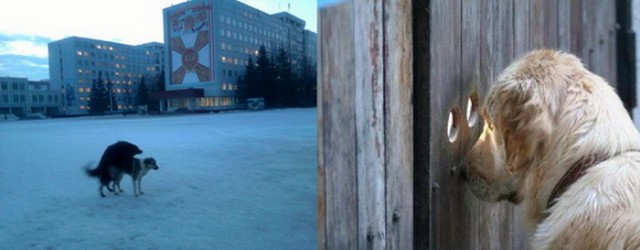 Соблазнитель