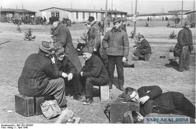 Перевоспитание. Немцы-стахановцы.1945 - 49 г.