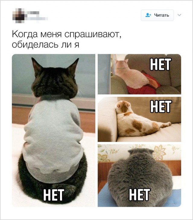Люди, которые с юмором на ты, а с сарказмом вообще родственники