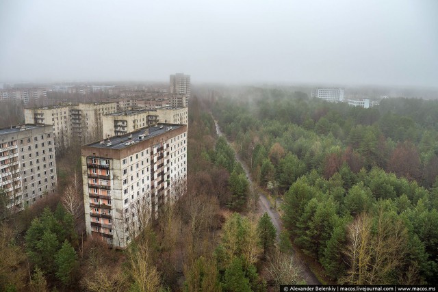 Мёртвый город Припять. Джунгли Чернобыля