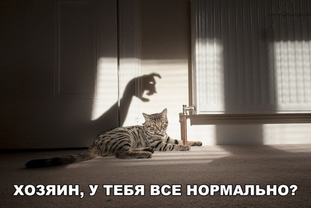 Нестандартный юмор