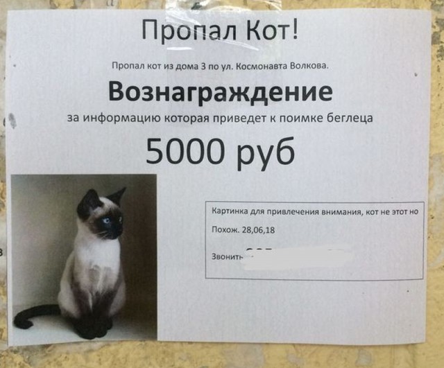 Картинки по-приколу