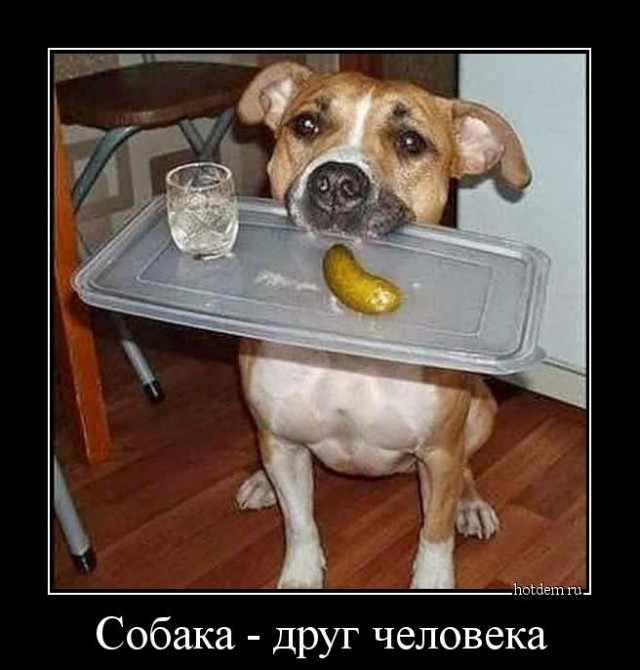 Алкопост на вечер пятницы
