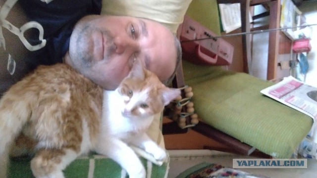 20 котов, у которых была всего секунда, чтобы прославиться. И они воспользовались ею сполна!