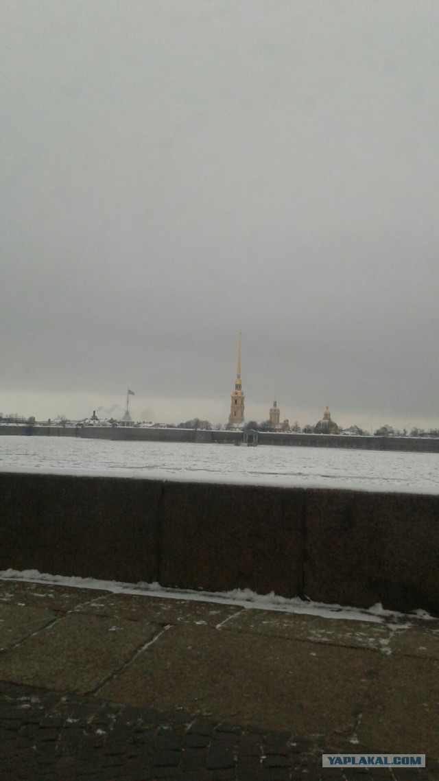 Счастье быть холостяком