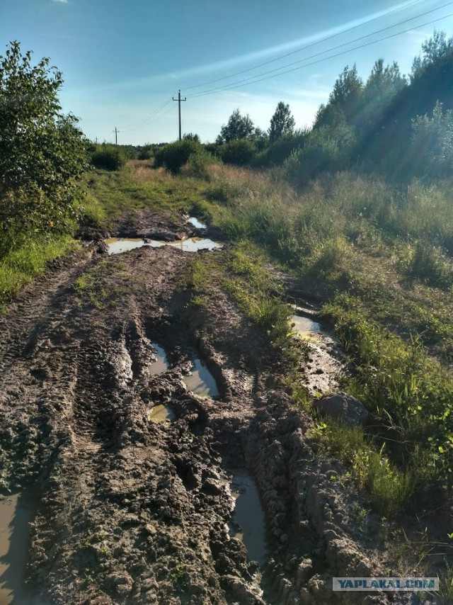 Красота сельских дорог