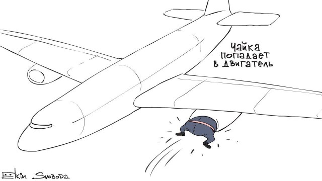 Еще один самолет вернулся в Москву из-за попадания птиц в лобовое стекло