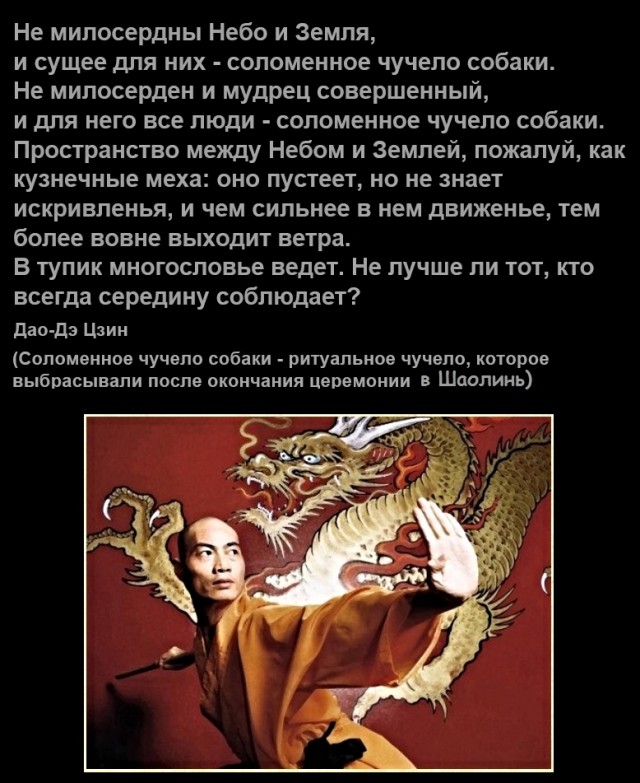 Картинки с надписями, истории и анекдоты 21.11.19