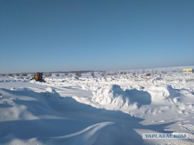 Здравствуй, *опа Новый год...