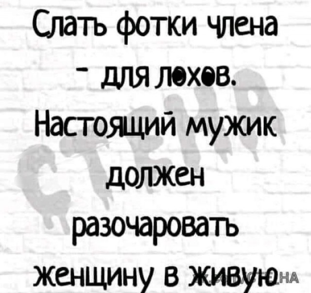 Бредзона 08.12.2020