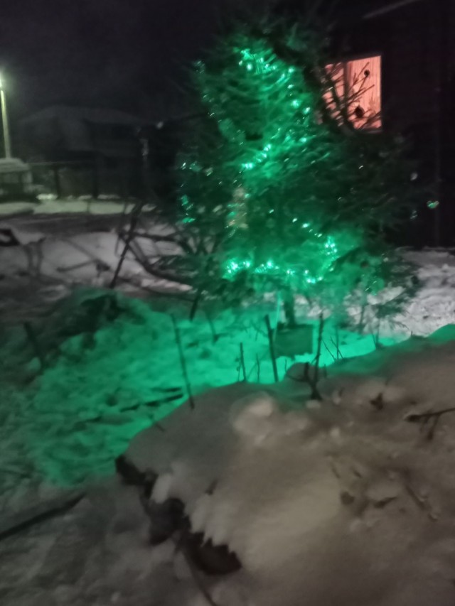 6 главных причин, почему женщинам не нравится борода