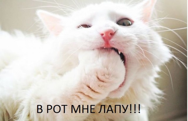 Нашёл мёртвый сайт