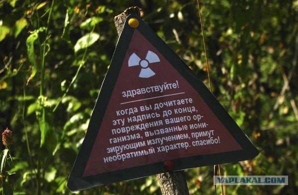 Дочитайте до конца