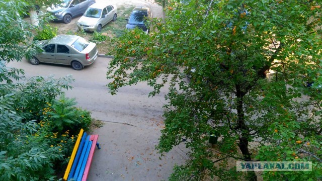 Живу в Волгограде