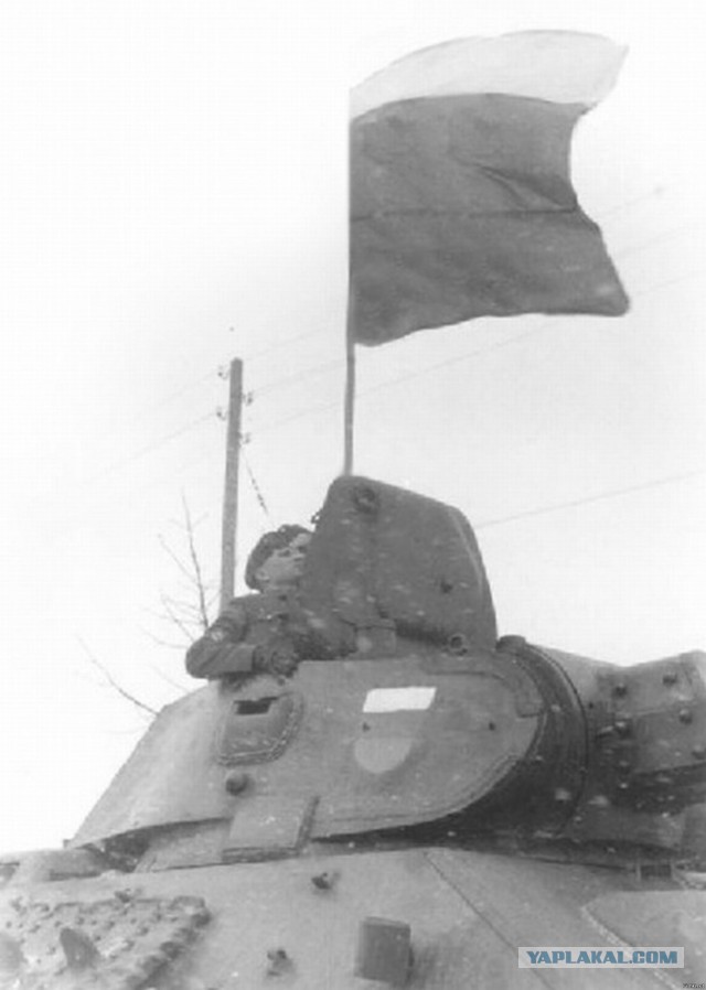 Предатели Родины. РОА и Власов