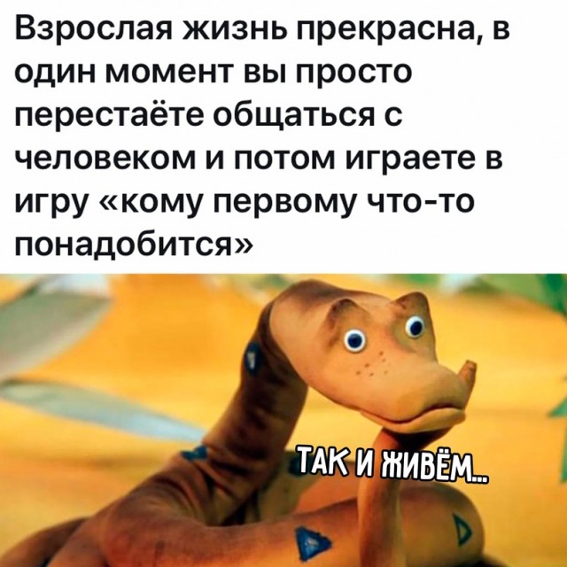 Весёлый полтишок 31.07