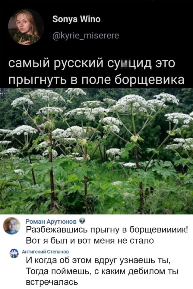 Бредзона 09.08.21