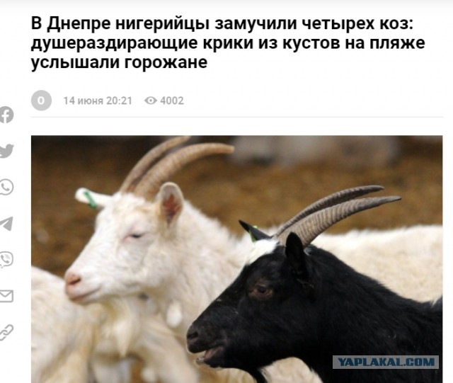 Во Львове четверо чернокожих мужчин привели в парк и зажарили на костре козу