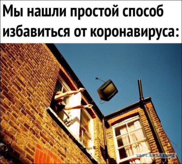 Домой после вакцинации