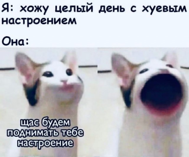 Картинки и мемы для настроения