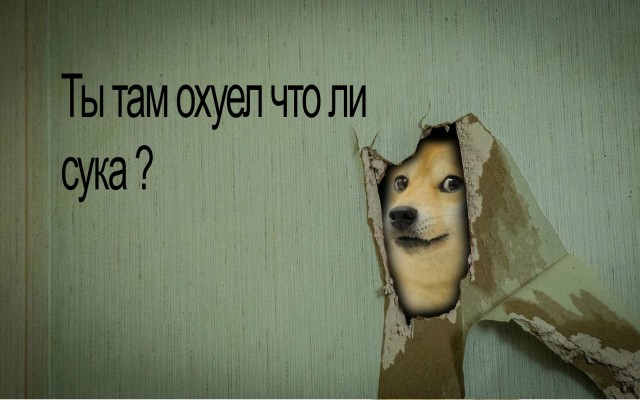 Профи за рулем