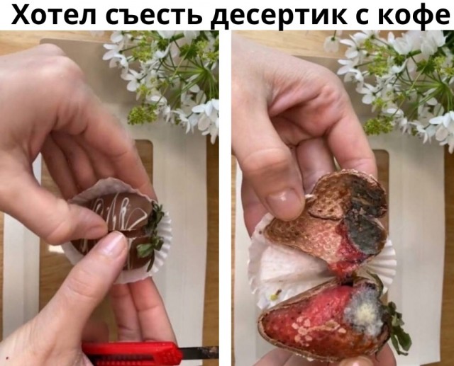 Так себе картинки 26.03.22