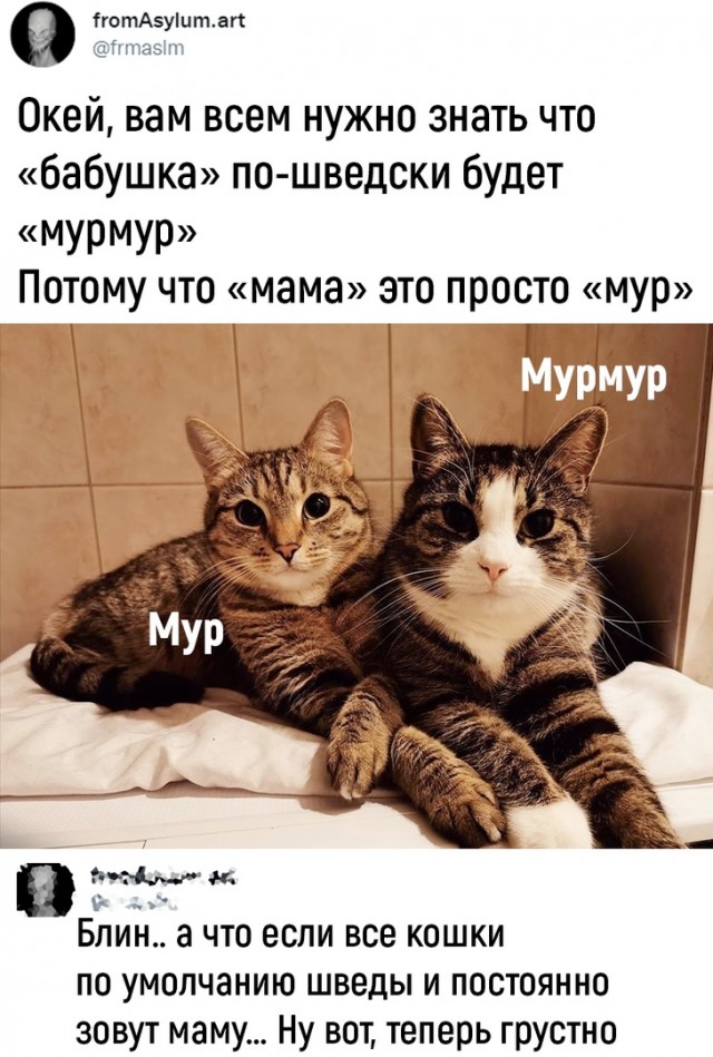 Так себе картинки 01.06.22