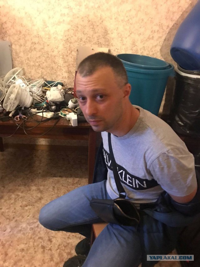 У владельца наркохолодильника на юге Петербурга нашли еще и плантацию