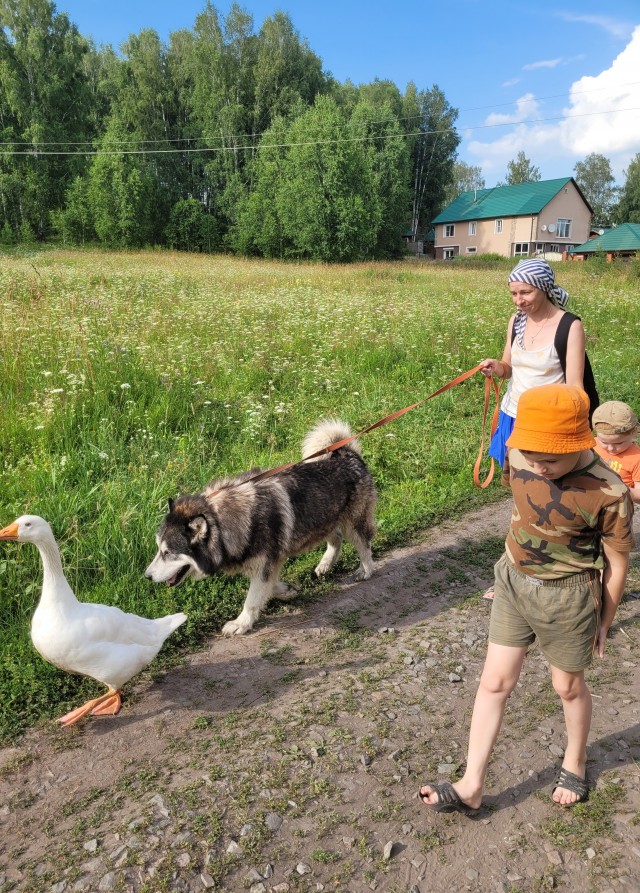 Моё увлечение