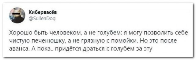 Забавные комментарии из социальных сетей (31.10.22)