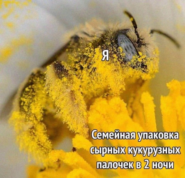 Немного картинок для настроения - 131