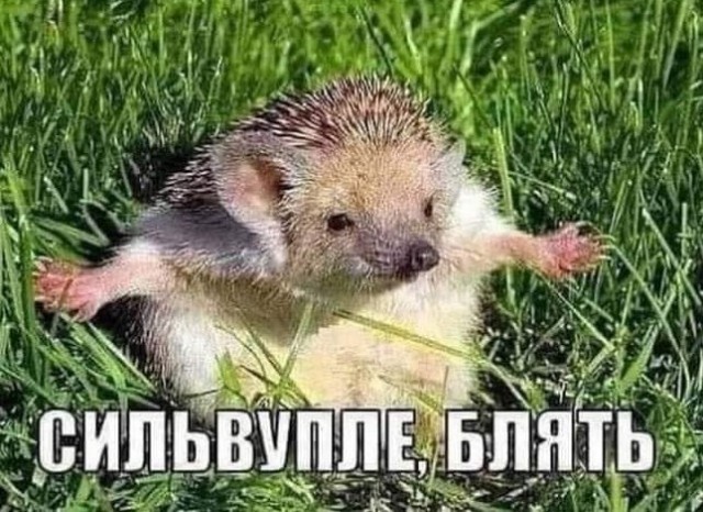 Миллиардер Дмитрий Зеленов скончался во Франции