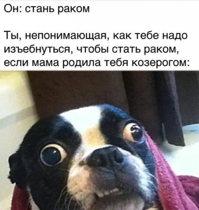 Немного картинок для взрослых 16.01.23