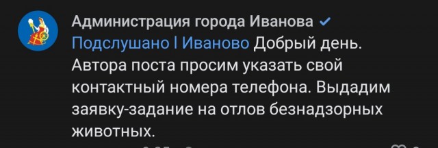 В г.Иваново бродячие собаки напали на детей