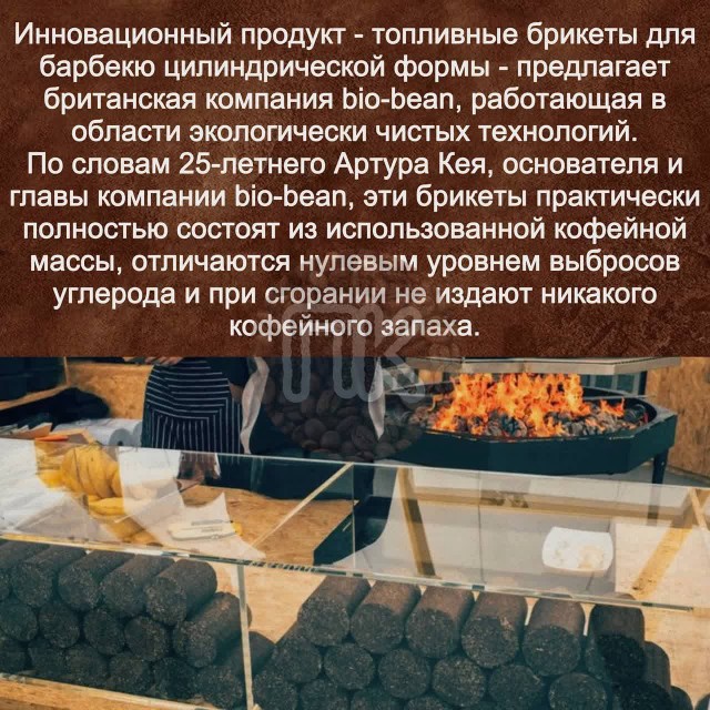 Победная поступь идиотизма по планете – том 9
