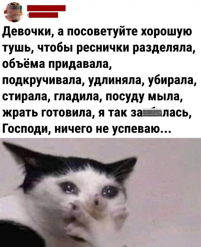 Так себе картинки 19.03.23
