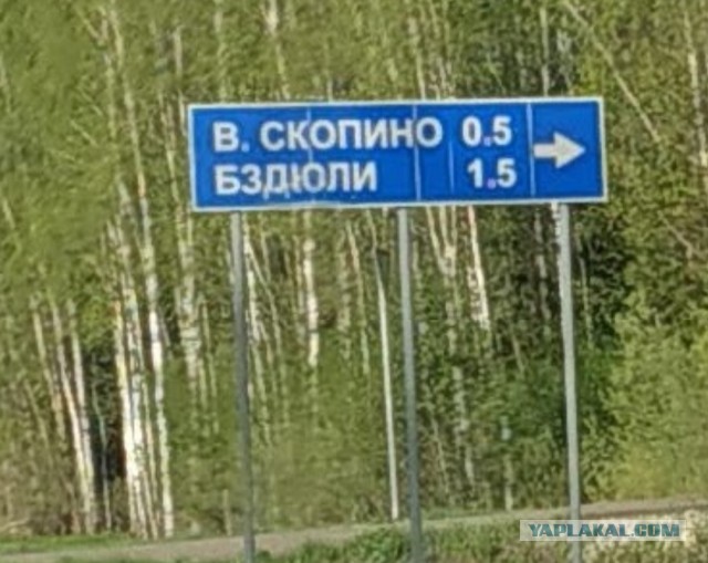 Путевые фотоприколы