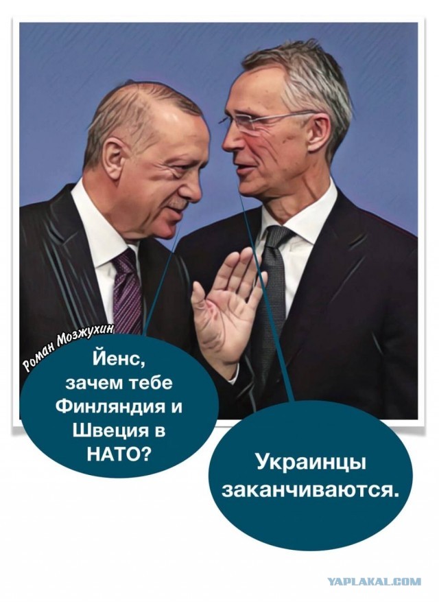 Турция согласилась на прием Швеции в НАТО в кратчайшие сроки