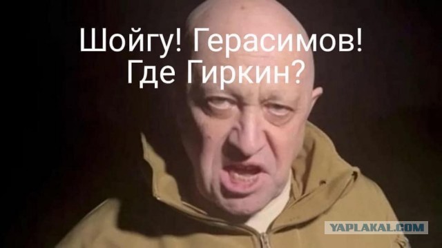 Силовики задержали Игоря Стрелкова