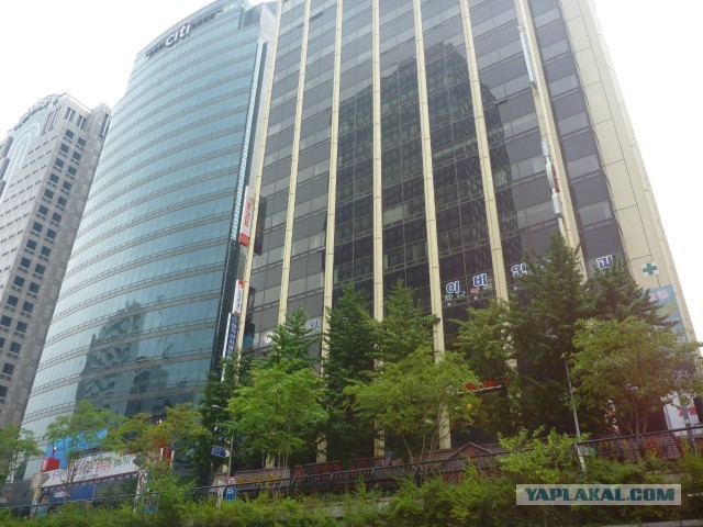 Тем временем в Южной Корее