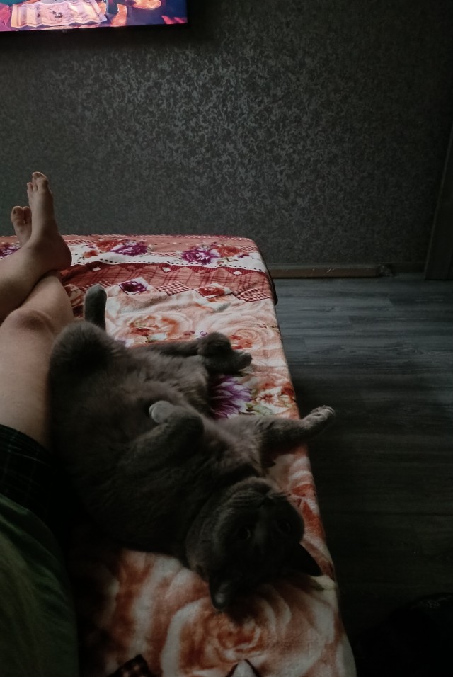 Ну хорошо, ладно... допустим - "бжжжжж!"