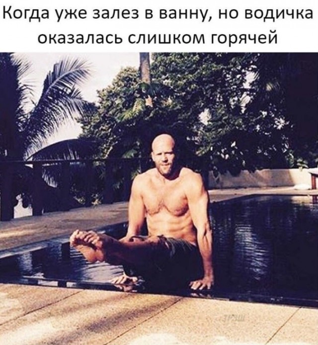 Кот акробат